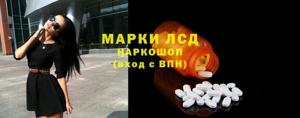 стаф Абинск