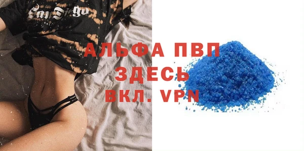 стаф Абинск
